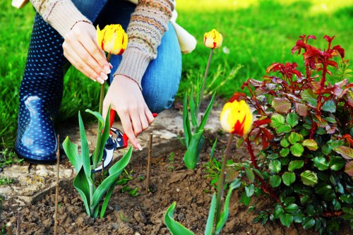 Person using a screen reader and keyboard to access community gardening information online